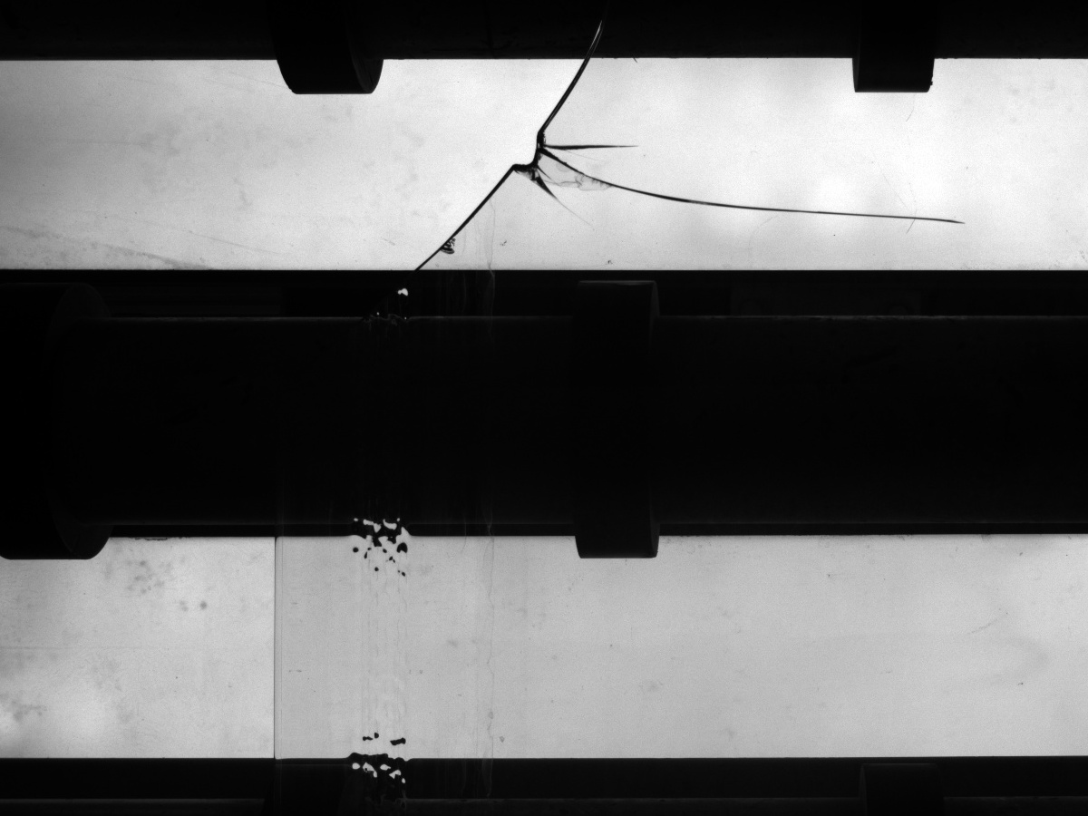 Final fixed-size crop